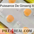 Ginseng Power X 24